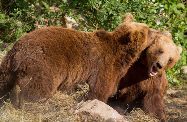 Tragovima divljine i tradicije. Čarobno putovanje od Kutereva do Krasna na Velebitu!