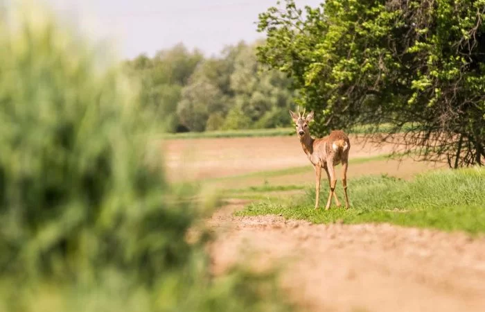 Baranja u džepu! Tri dana predivnih krajolika i iskustava za okusne pupoljke